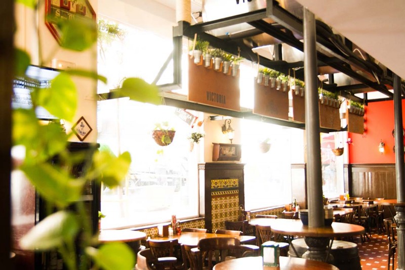 Tematización interior Taberna Málaga