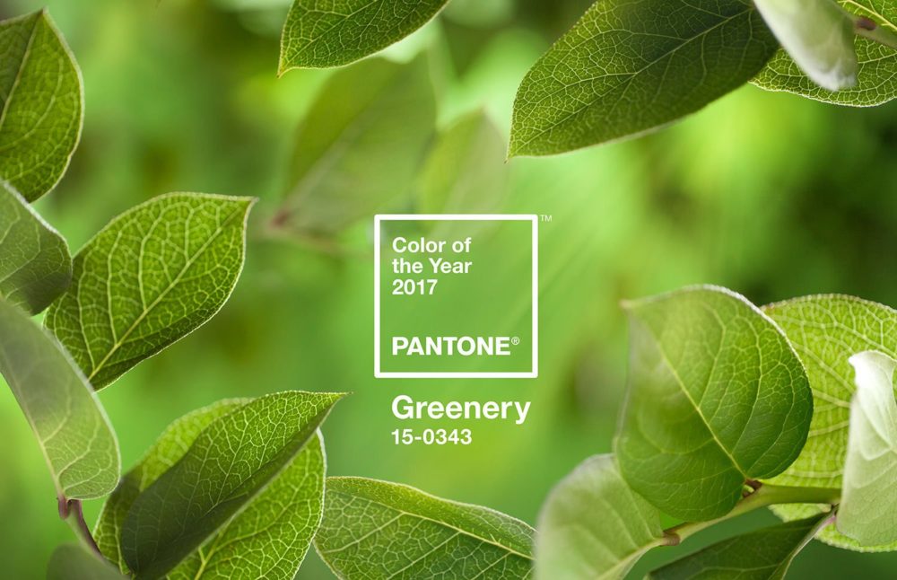 Color pantone 2017