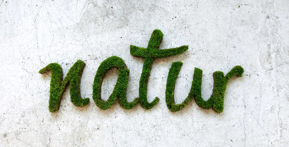 graffitis natur