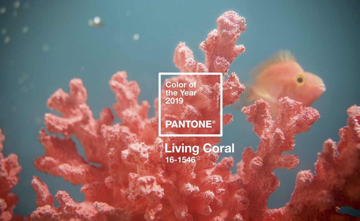 Pantone 2019 Living Coral Portada