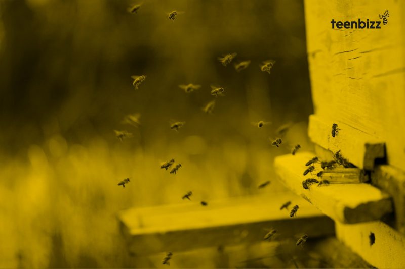 DISEÑO DE MARCA CORPORATIVA abeja