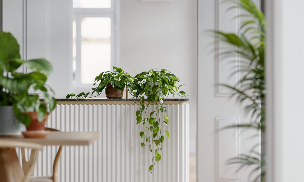 Decoración con plantas Portada