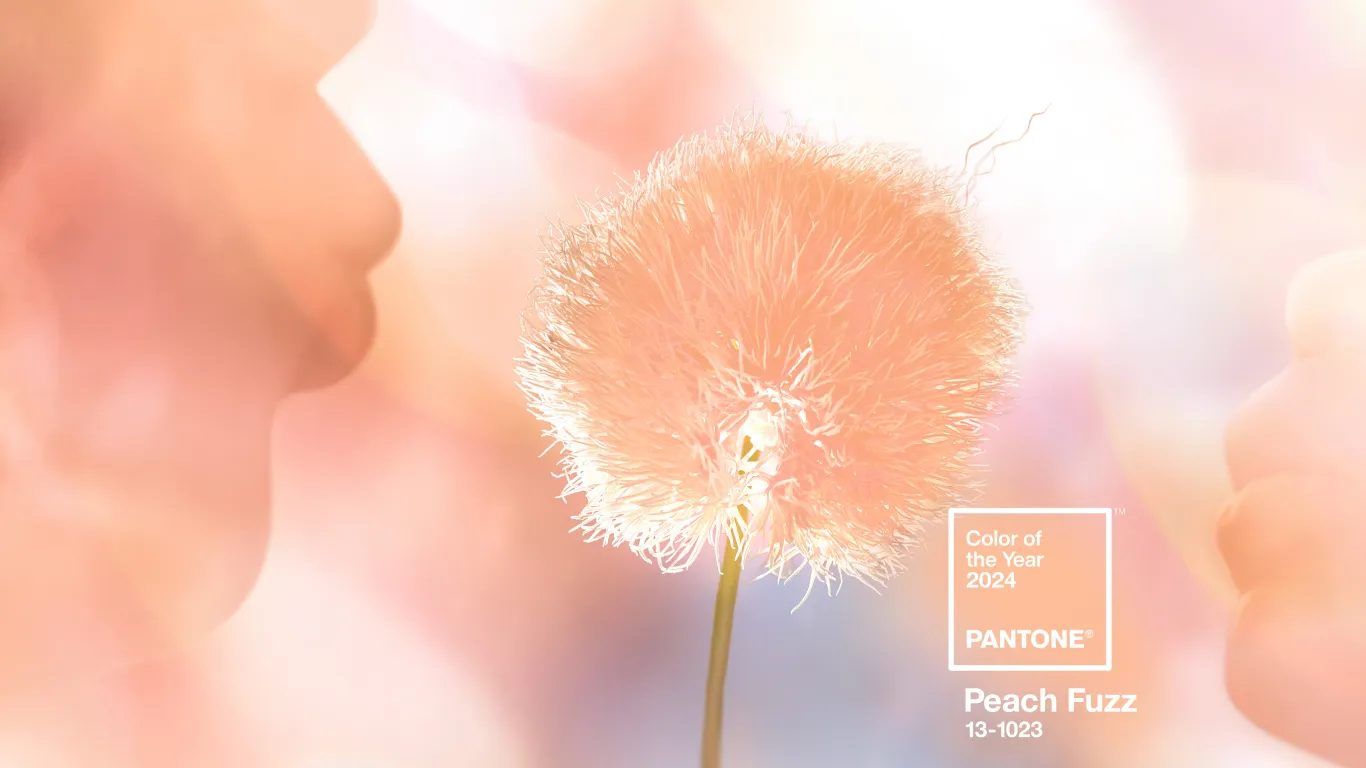 Color año Pantone 2024 Peach Fuzz Portada