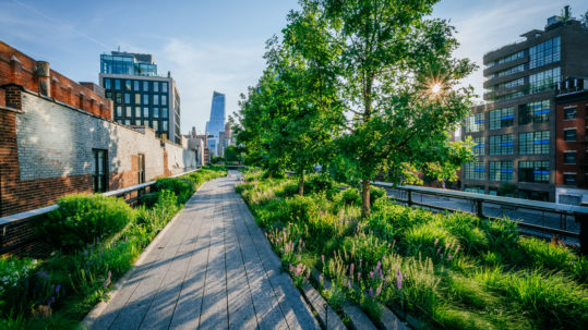 Urbanismo regenerativo New York